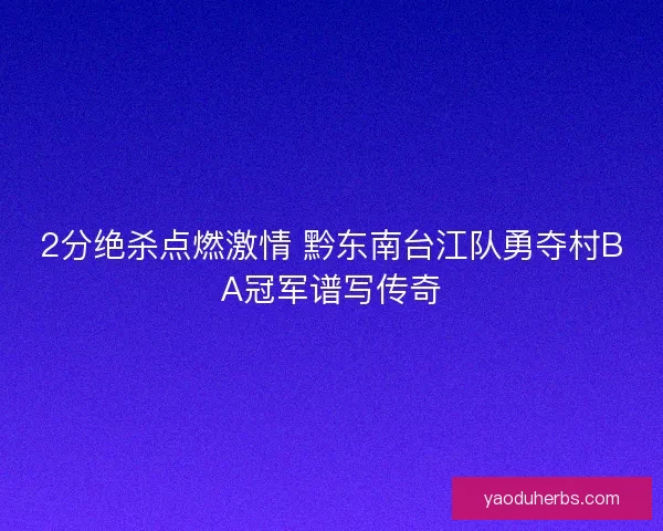 2分绝杀点燃激情 黔东南台江队勇夺村BA冠军谱写传奇
