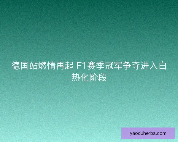 德国站燃情再起 F1赛季冠军争夺进入白热化阶段