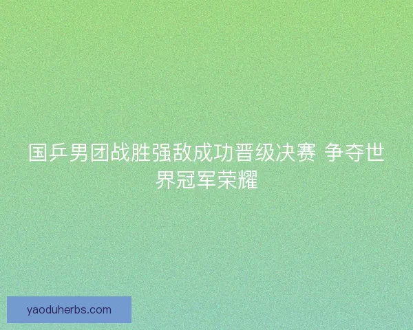 国乒男团战胜强敌成功晋级决赛 争夺世界冠军荣耀