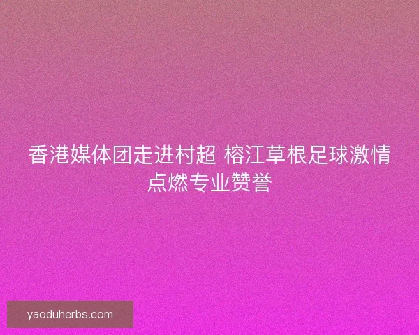 香港媒体团走进村超 榕江草根足球激情点燃专业赞誉