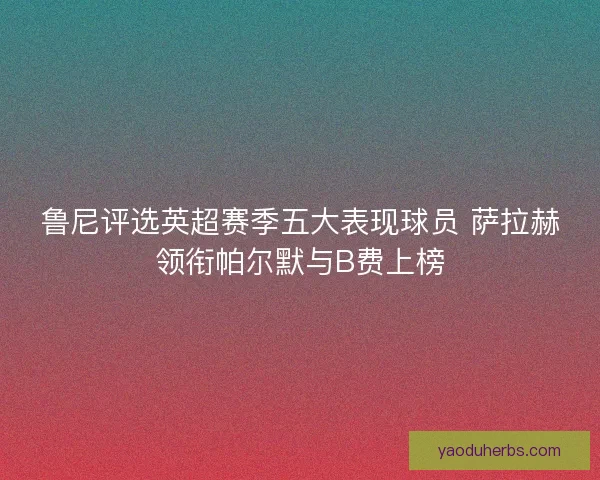 鲁尼评选英超赛季五大表现球员 萨拉赫领衔帕尔默与B费上榜
