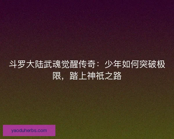 斗罗大陆武魂觉醒传奇：少年如何突破极限，踏上神祇之路