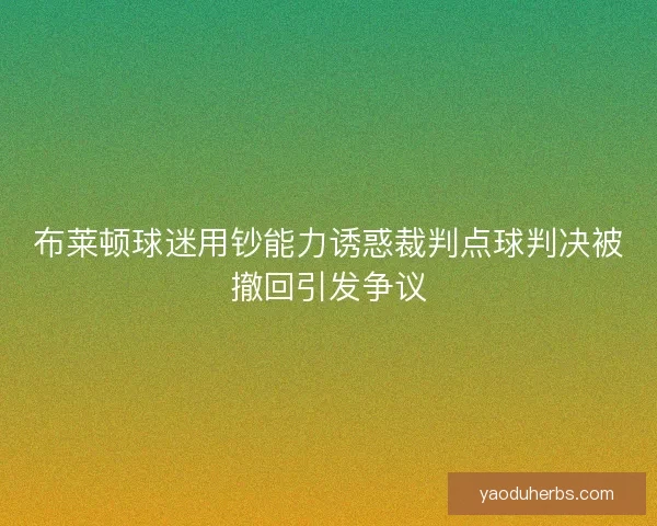 布莱顿球迷用钞能力诱惑裁判点球判决被撤回引发争议