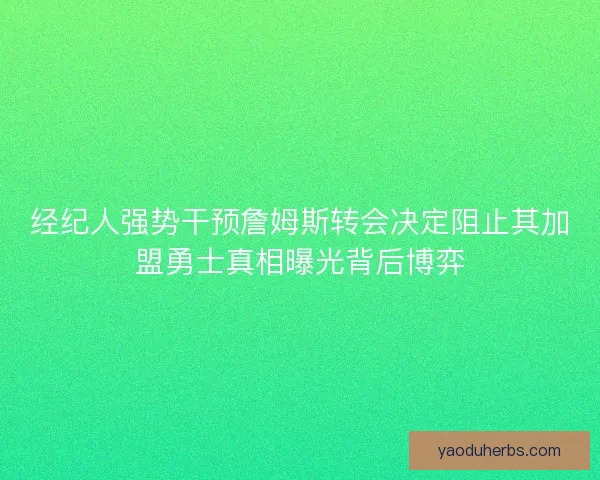 经纪人强势干预詹姆斯转会决定阻止其加盟勇士真相曝光背后博弈