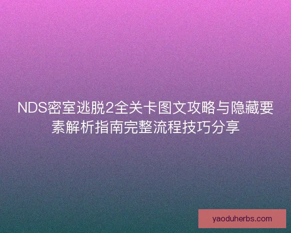 NDS密室逃脱2全关卡图文攻略与隐藏要素解析指南完整流程技巧分享