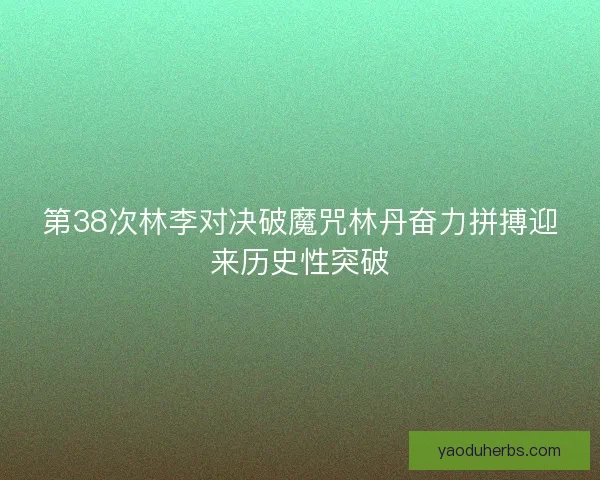 第38次林李对决破魔咒林丹奋力拼搏迎来历史性突破 第38次林李对决破魔咒林丹奋力拼搏迎来历史性突破
