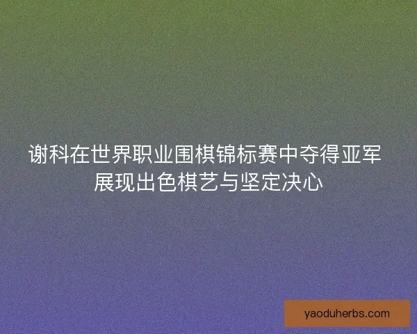 谢科在世界职业围棋锦标赛中夺得亚军 展现出色棋艺与坚定决心 谢科在世界职业围棋锦标赛中夺得亚军 展现出色棋艺与坚定决心