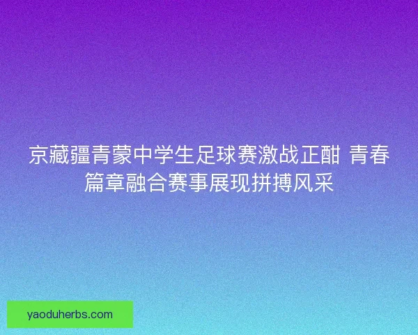 京藏疆青蒙中学生足球赛激战正酣 青春篇章融合赛事展现拼搏风采