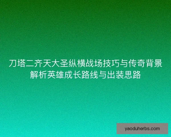 刀塔二齐天大圣纵横战场技巧与传奇背景解析英雄成长路线与出装思路