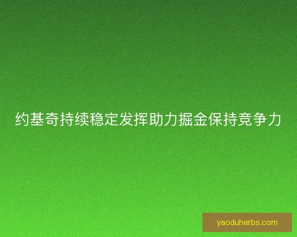 约基奇持续稳定发挥助力掘金保持竞争力