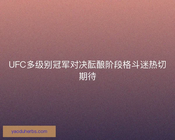 UFC多级别冠军对决酝酿阶段格斗迷热切期待