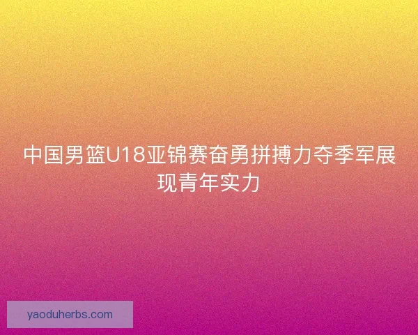 中国男篮U18亚锦赛奋勇拼搏力夺季军展现青年实力