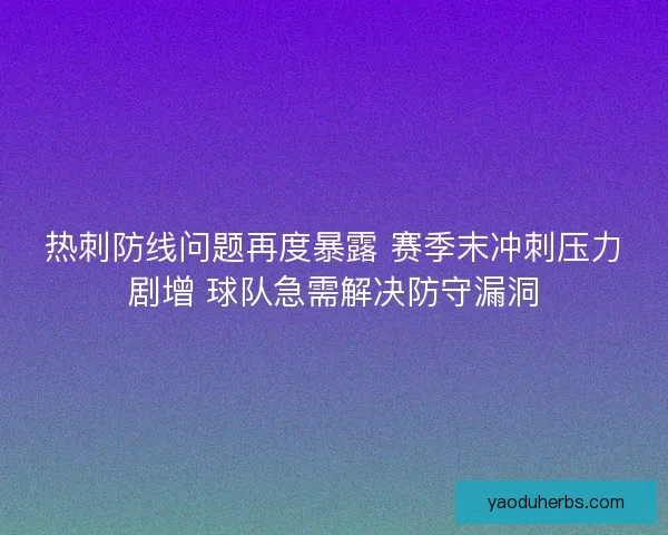 热刺防线问题再度暴露 赛季末冲刺压力剧增 球队急需解决防守漏洞