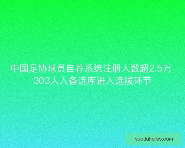 中国足协球员自荐系统注册人数超2.5万 303人入备选库进入选拔环节