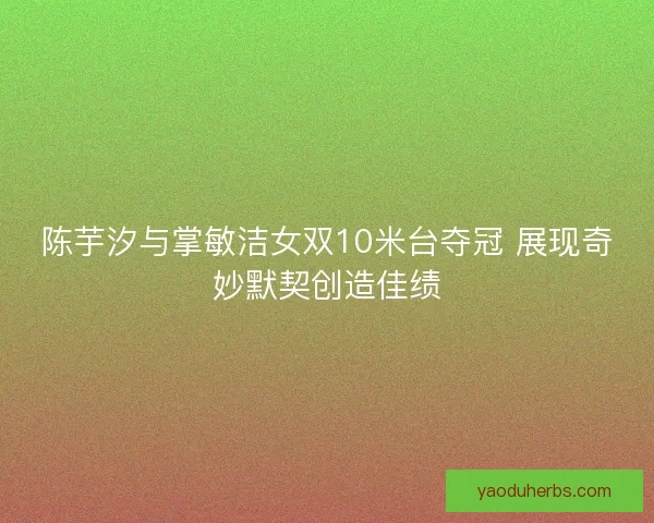 陈芋汐与掌敏洁女双10米台夺冠 展现奇妙默契创造佳绩